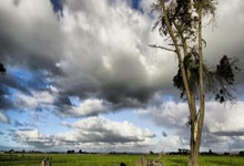 关于哈兰德巅峰对决，萨拉赫与60激战法国队分钟，出色防守胜负难料！的信息